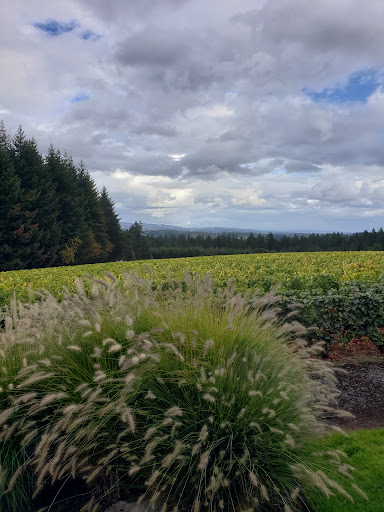 Winery «Ardiri Winery & Vineyards», reviews and photos, 35040 Southwest Unger Road, Cornelius, OR 97113, USA