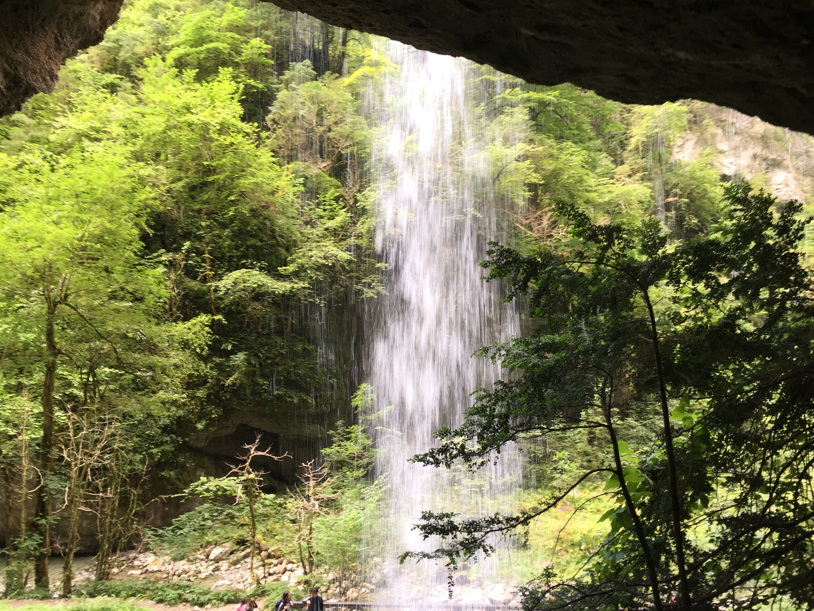 Photo n° 9 de l'avis de Frédéric.o fait le 24/10/2022 à 15:58