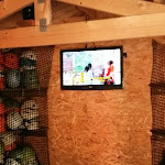 Photo n° 2 de l'avis de Philippe.A fait le 04/08/2020 à 15:47 pour Forêt Adrénaline Carnac - Parc accrobranche à Carnac