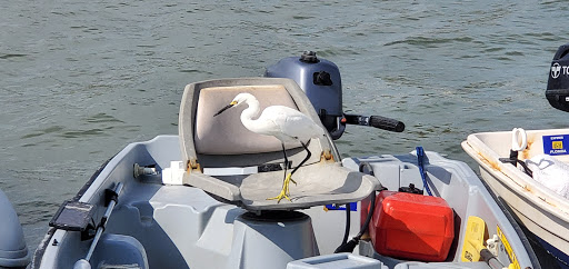 Casino «City of Gulfport: Gulfport Casino Ballroom», reviews and photos, 5500 Shore Blvd S, Gulfport, FL 33707, USA