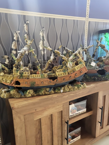 Pet Supply Store «PetSmart», reviews and photos, 1160 Stafford Market Pl, Stafford, VA 22556, USA