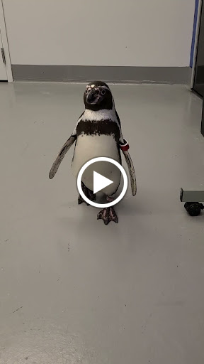 Aquarium «Aquarium of Niagara», reviews and photos, 701 Whirlpool St, Niagara Falls, NY 14301, USA