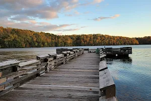 Lake Higgins image