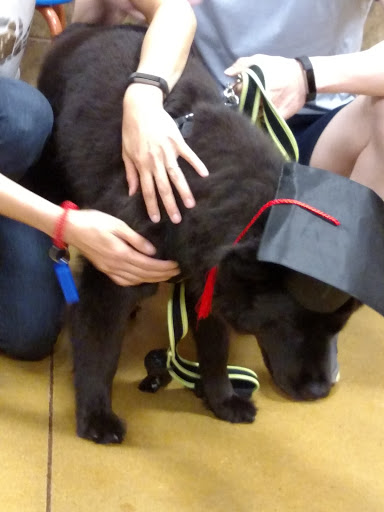 Pet Supply Store «PetSmart», reviews and photos, 131 Town Center Rd, King of Prussia, PA 19406, USA