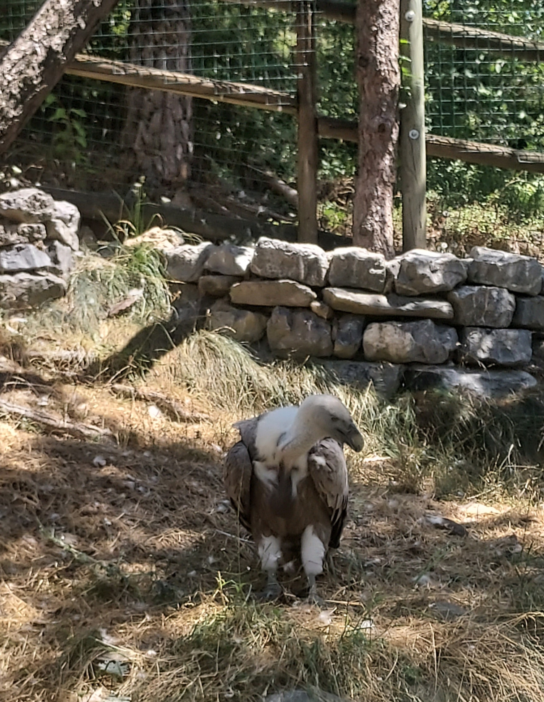 Photo n° 8 de l'avis de Isabelle.a fait le 21/07/2022 à 23:00