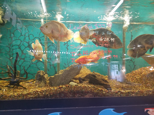 Pet Store «A to Z Pets», reviews and photos, 16010 SE Division St, Portland, OR 97236, USA