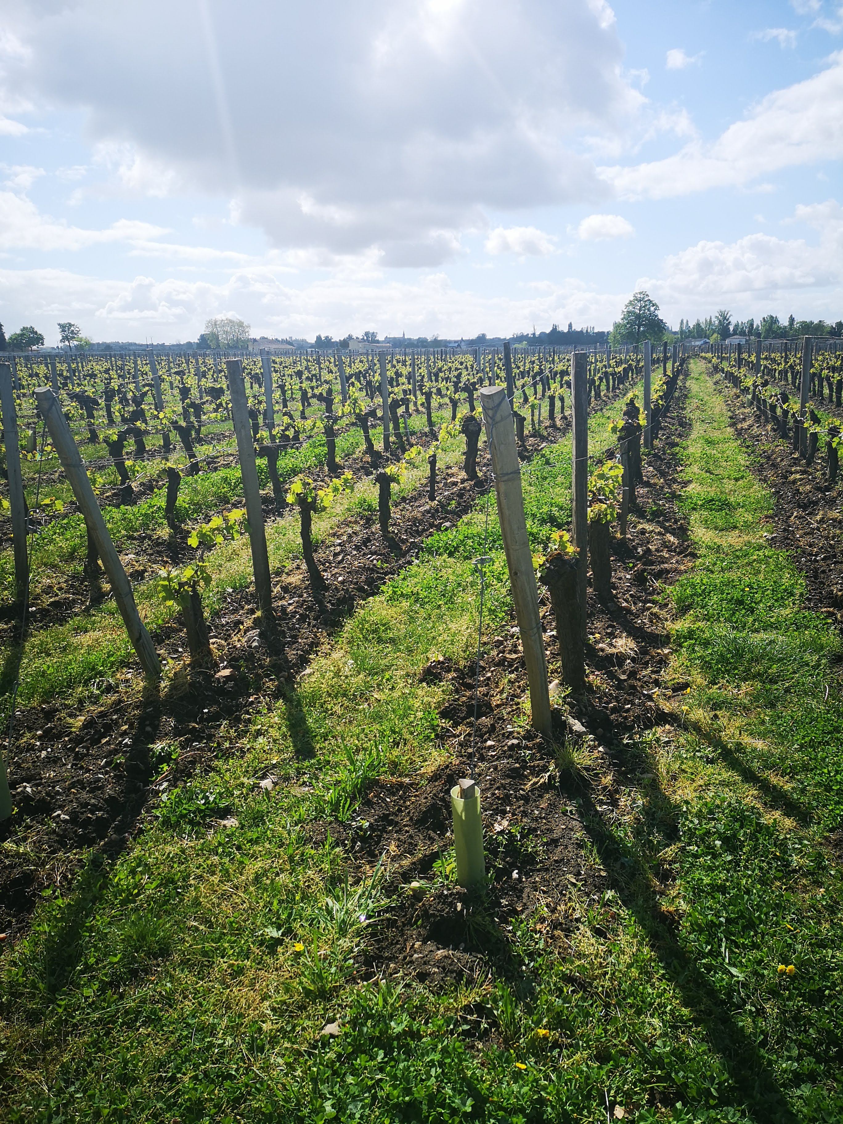 Photo n° 1 de l'avis de Kerri.e fait le 16/04/2019 à 16:03