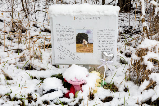 Nature Preserve «Bode Lake», reviews and photos, Bode Rd, Streamwood, IL 60107, USA