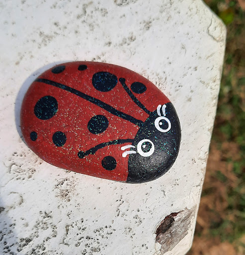 Craft Store «Michaels», reviews and photos, 800 W Harris St Ste 26, Eureka, CA 95503, USA