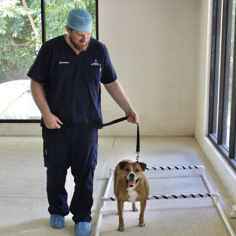 Capital Veterinary Specialists, JAX and Animal ER