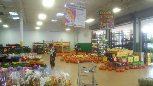 Produce Market «Produce Junction Inc», reviews and photos, 265 S Easton Rd, Glenside, PA 19038, USA