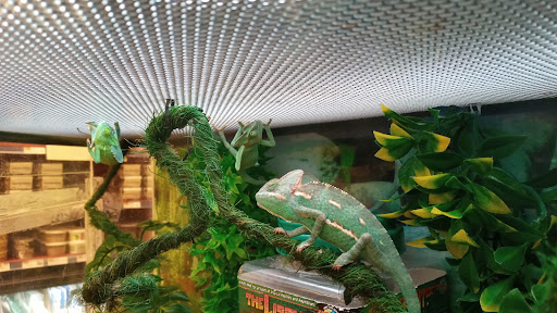 Pet Supply Store «Petco Animal Supplies», reviews and photos, 10 Sylvan St, Peabody, MA 01960, USA