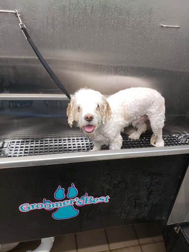 Pet Supply Store «Pet Supplies Plus», reviews and photos, 1137 Annapolis Rd, Odenton, MD 21113, USA