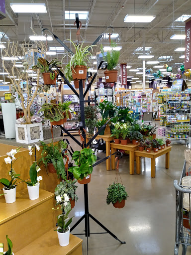 Grocery Store «Fred Meyer», reviews and photos, 6305 Bridgeport Way W, University Place, WA 98467, USA