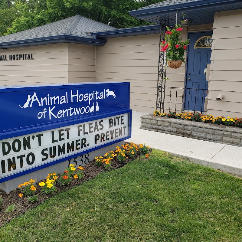 Animal Hospital of Kentwood
