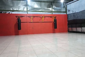 Bima Martial Art Academy image