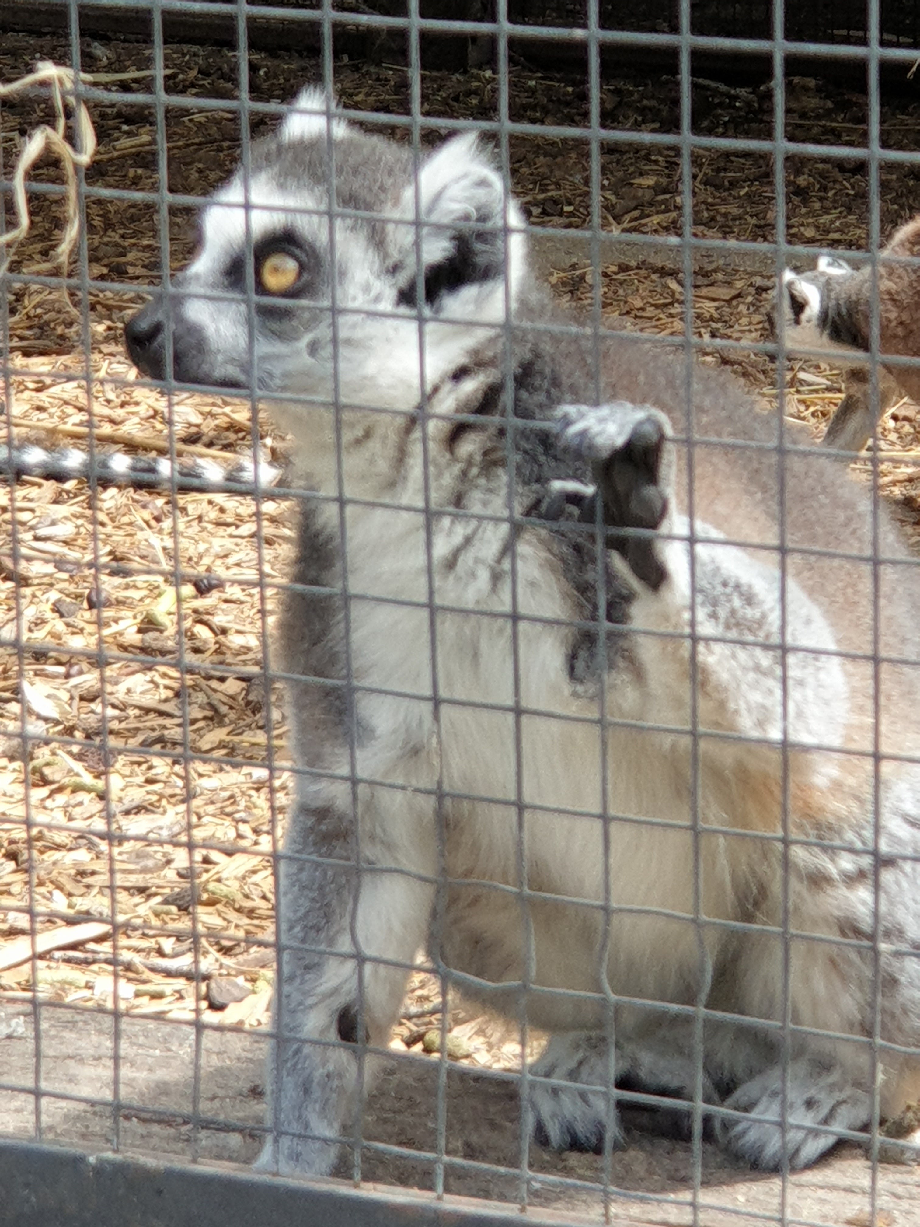 Photo n° 2 de l'avis de Karinou.e fait le 16/07/2019 à 12:28