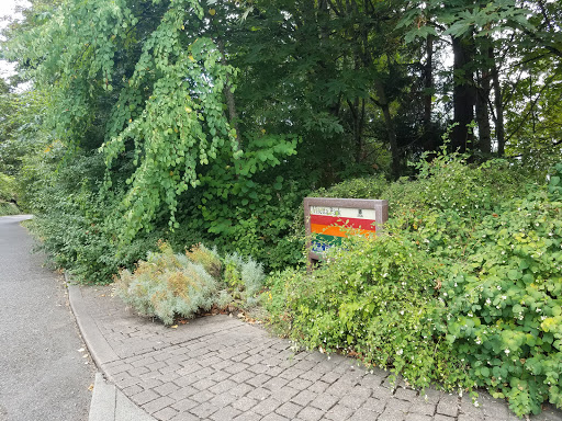 Park «Viretta Park», reviews and photos, 151 Lake Washington Blvd E, Seattle, WA 98112, USA