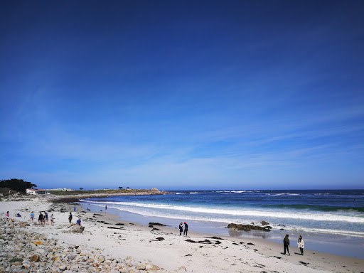 Golf Course «Monterey Peninsula Dunes Golf Course», reviews and photos, 3000 Club Rd, Pebble Beach, CA 93953, USA