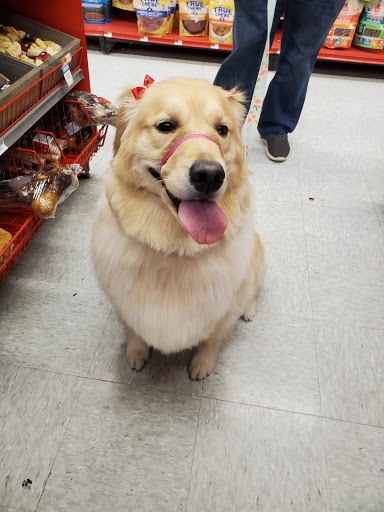 Pet Supply Store «Petco Animal Supplies», reviews and photos, 1333 Centennial Ave, Piscataway Township, NJ 08854, USA