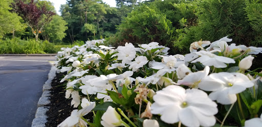 Wedding Venue «Lakeview Pavilion», reviews and photos, 45 Lakeview Rd, Foxborough, MA 02035, USA