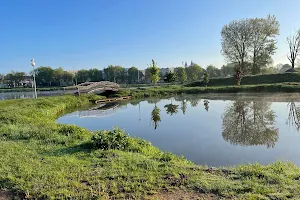 Rzeka Wilga image