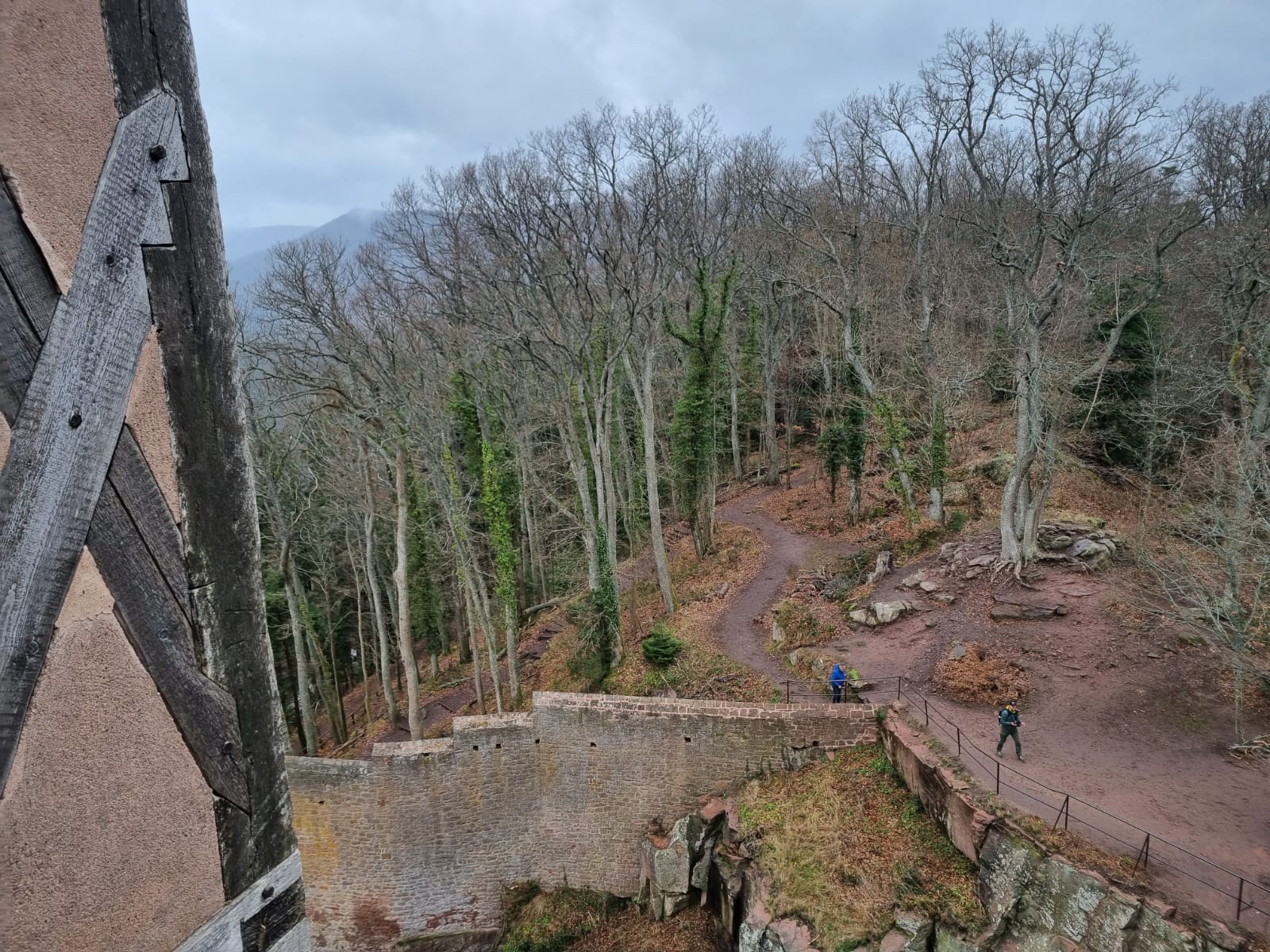 Photo n° 31 de l'avis de Mario.a fait le 03/01/2024 à 08:08