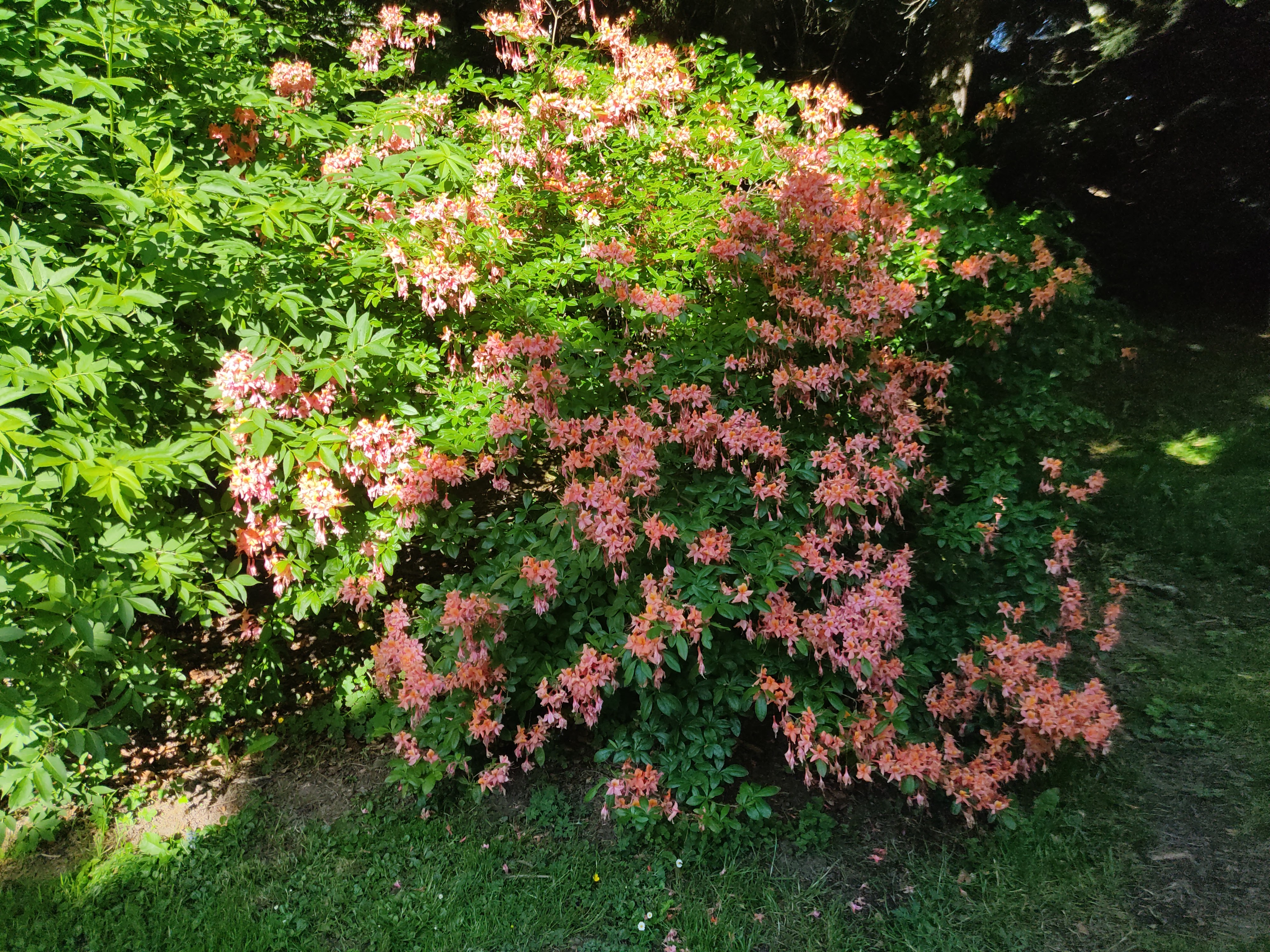 Photo n° 9 de l'avis de David.i fait le 29/05/2022 à 19:15