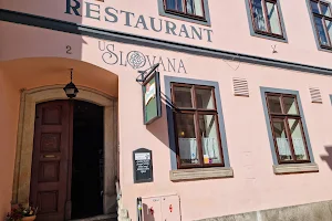 Restaurace U Slovana image