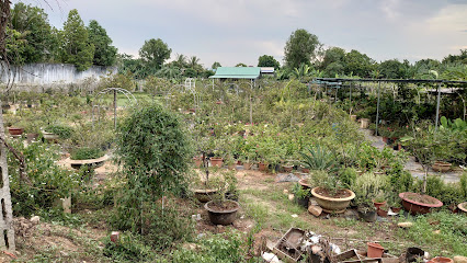 Minh Rose Garden