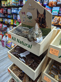 Pet Centro