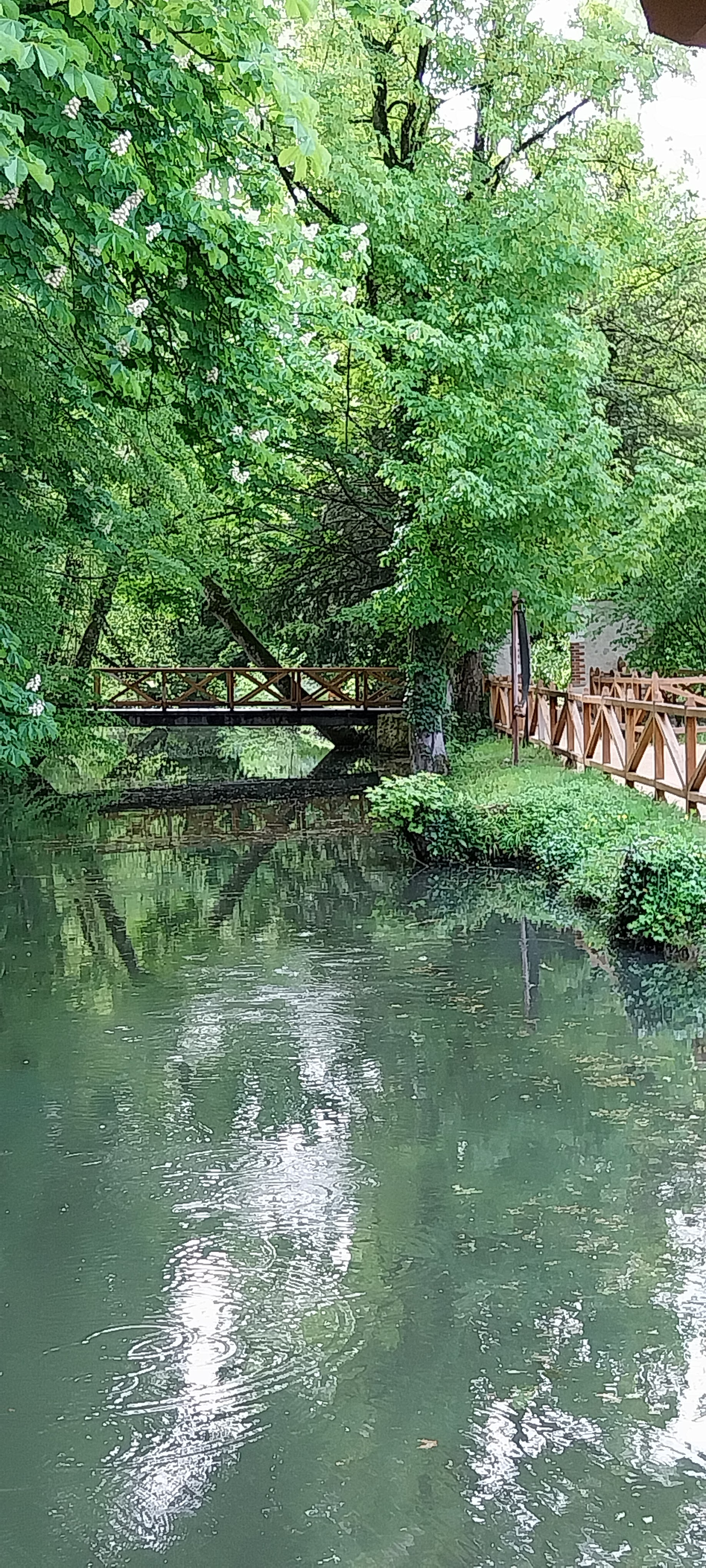 Photo n° 8 de l'avis de Corinne.U fait le 06/05/2023 à 14:03