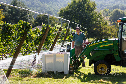 Winery «Glass House Winery», reviews and photos, 5898 Free Union Rd, Free Union, VA 22940, USA