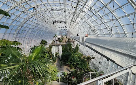 Myriad Botanical Gardens image