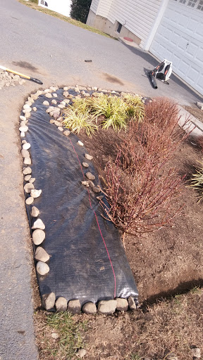 Grocery Store «Primos Mini Market», reviews and photos, 37 Strode Ave, Coatesville, PA 19320, USA