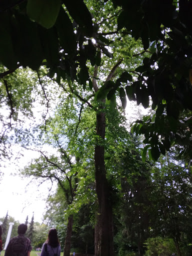 Natural History Museum «Burke Museum of Natural History and Culture», reviews and photos, 1413 NE 45th St, Seattle, WA 98105, USA