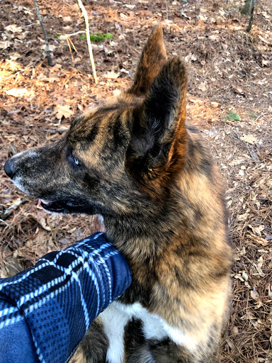 Park «Big Creek Park», reviews and photos, 1600 Old Alabama Rd, Roswell, GA 30076, USA