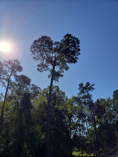 Golf Course «Witch Golf Links», reviews and photos, 1900 SC-544, Conway, SC 29526, USA