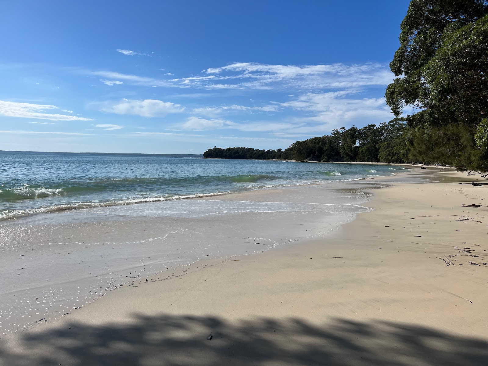 Orion Beach的照片 带有米色沙子表面