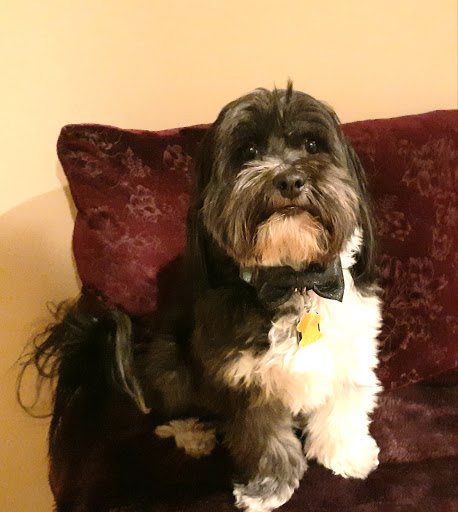 Pet Supply Store «Petco Animal Supplies», reviews and photos, 2210 N Eagle Rd, Meridian, ID 83646, USA