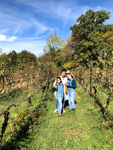 Winery «Knob Hall Winery», reviews and photos, 14108 St Paul Rd, Clear Spring, MD 21722, USA