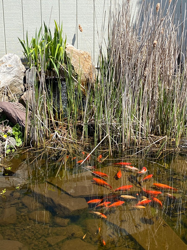 Florist «Countryside Floral And Greenhouses», reviews and photos, 129 Mt Cobb Hwy, Lake Ariel, PA 18436, USA