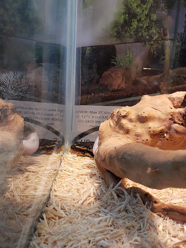 Pet Store «Fish-N-Pets Unlimited», reviews and photos, 11710 Bissonnet St, Houston, TX 77099, USA