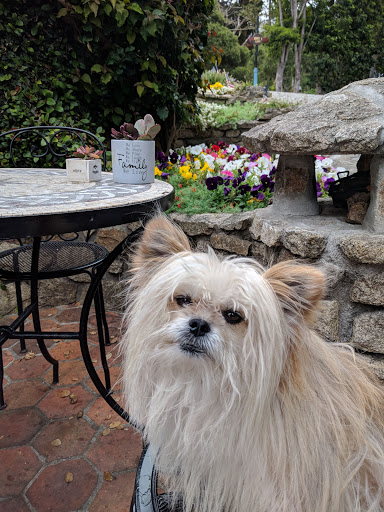 General Store «Carmel Highlands General Store», reviews and photos, 70 CA-1, Carmel-By-The-Sea, CA 93923, USA