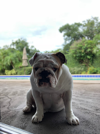 Janitorial Service «M.R.E. Cleaning Service, Inc.», reviews and photos, 3643 N Econlockhatchee Trail, Orlando, FL 32817, USA