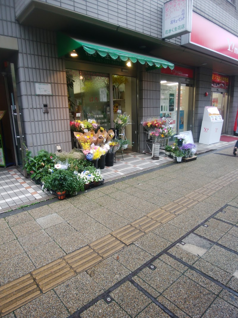 花きく生花店