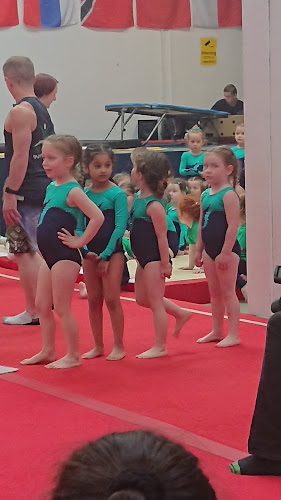 Reviews of Abbey Gymnastic CIC in Belfast - Gym