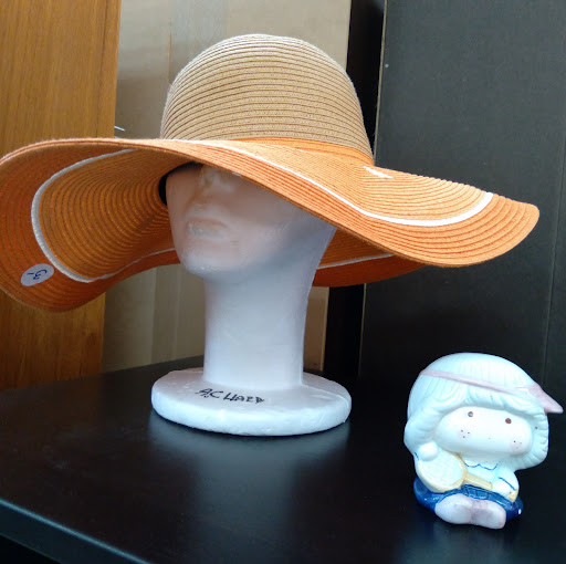 Thrift Store «Sun City Thrift Shop», reviews and photos