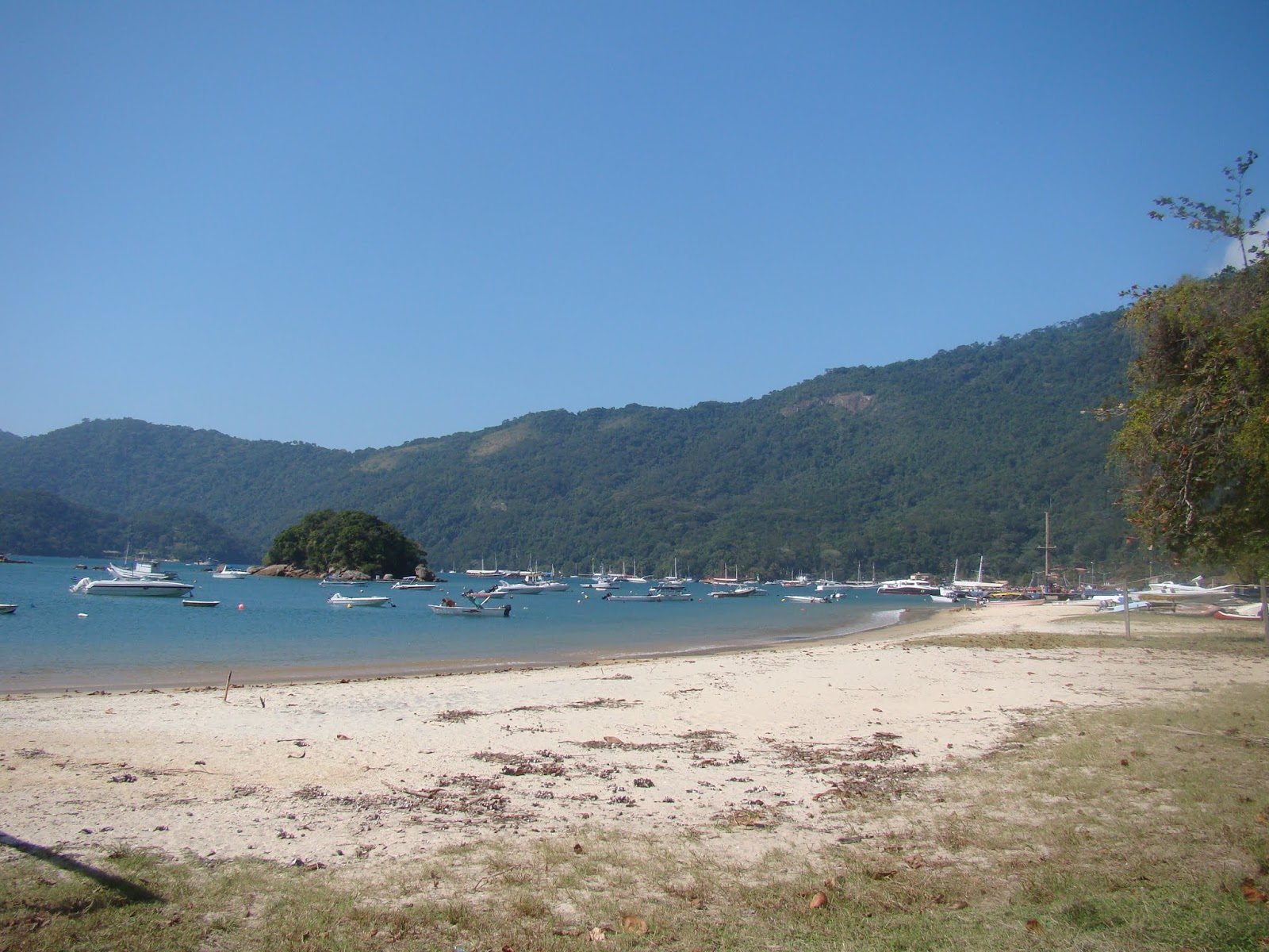 Praia do Abraao'in fotoğrafı - rahatlamayı sevenler arasında popüler bir yer