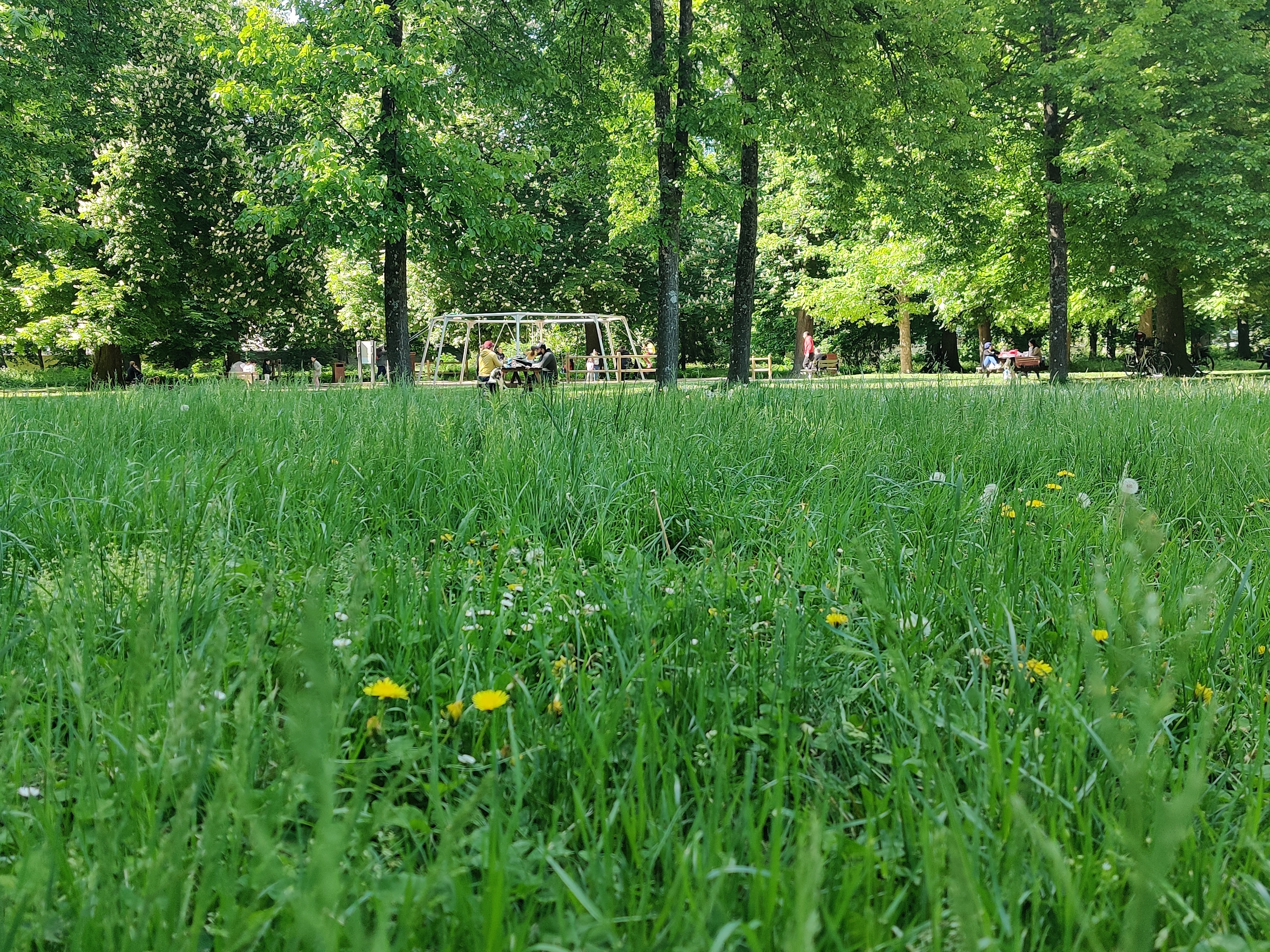 Photo n° 7 de l'avis de Carole.r fait le 01/05/2022 à 15:15